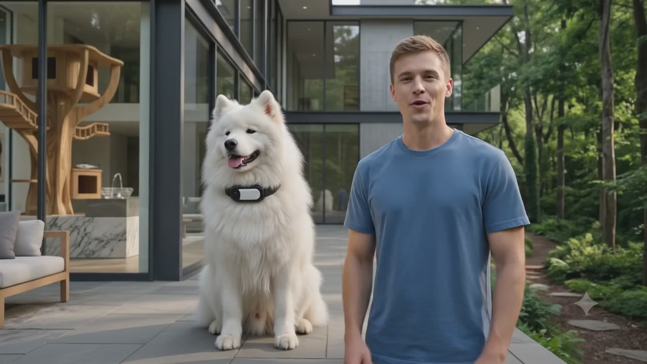 NovaTail Pet Exclusive  Collar Camera — See the World Through Your Pet's Eyes